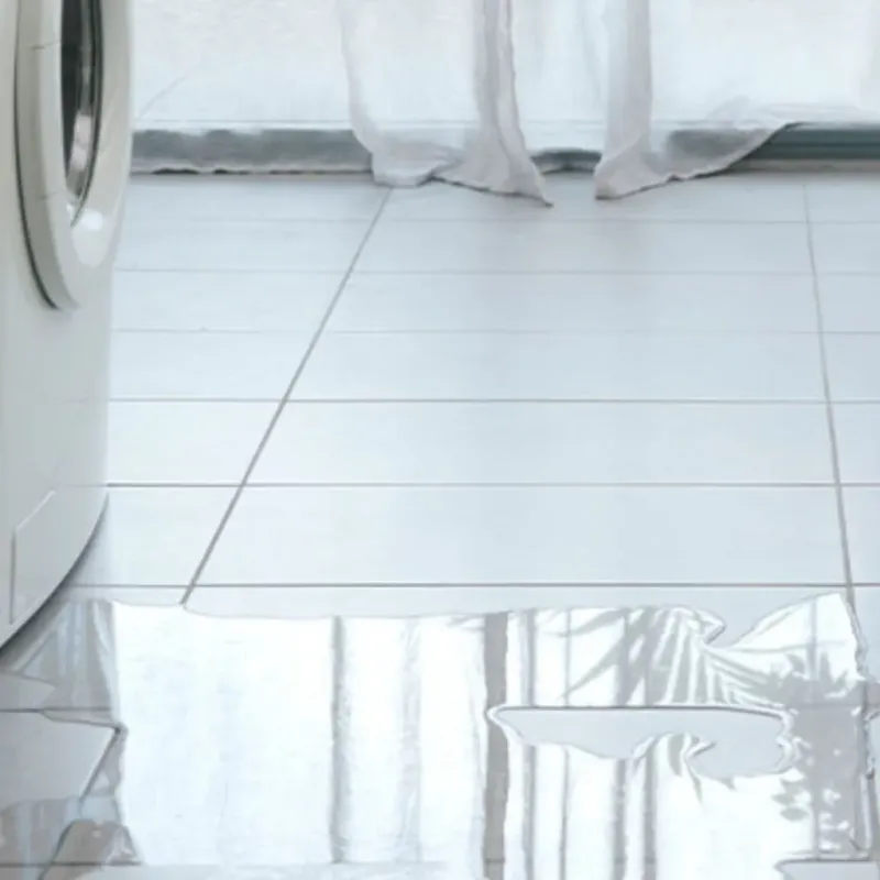 Appliance Leak Cleanup in New Sharon, ME
