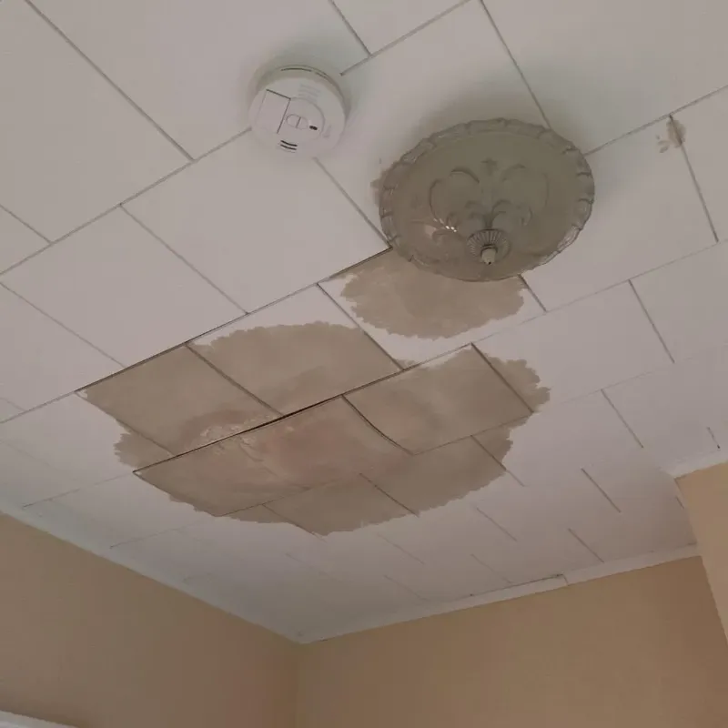 Ceiling Water Damage Repair in New Sharon, ME