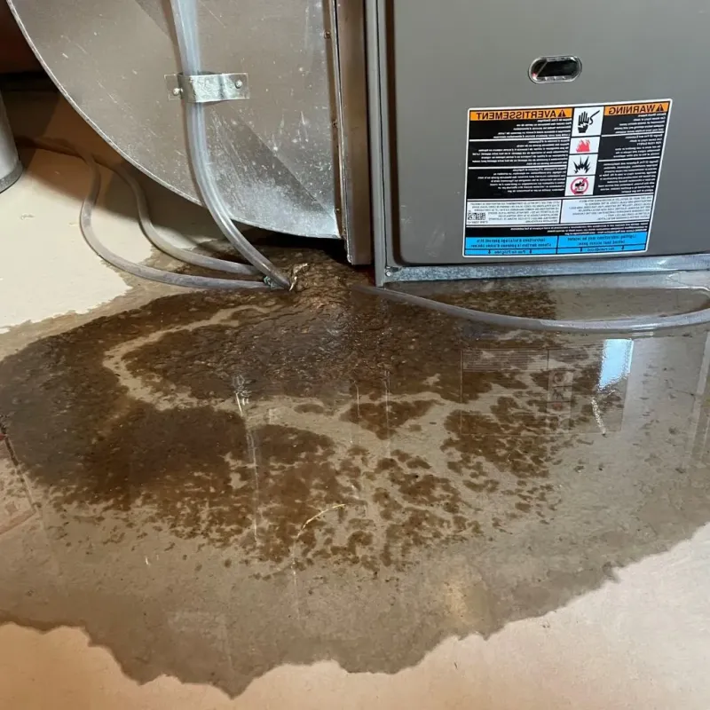 Pipe Burst and Leak Restoration in New Sharon, ME
