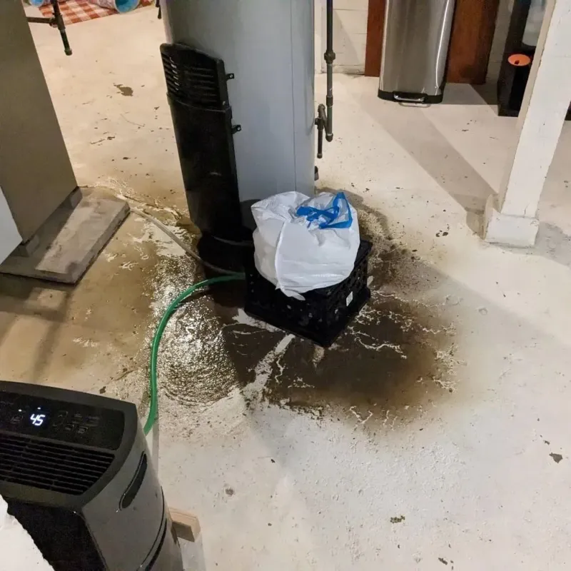 Sewage Backup Cleanup Service in New Sharon, ME